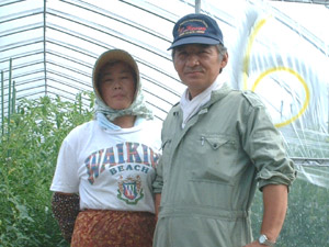 砂川トマト生産組合