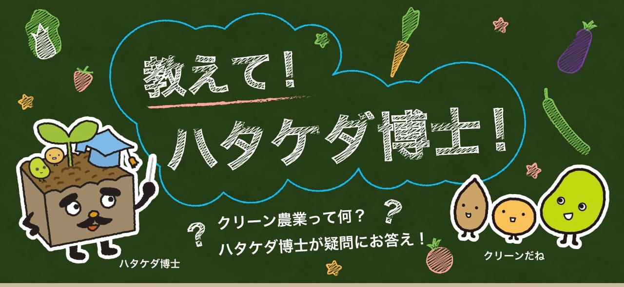 北海道の大地から食卓へ　クリーン農業がおいしい農産物をお届けします