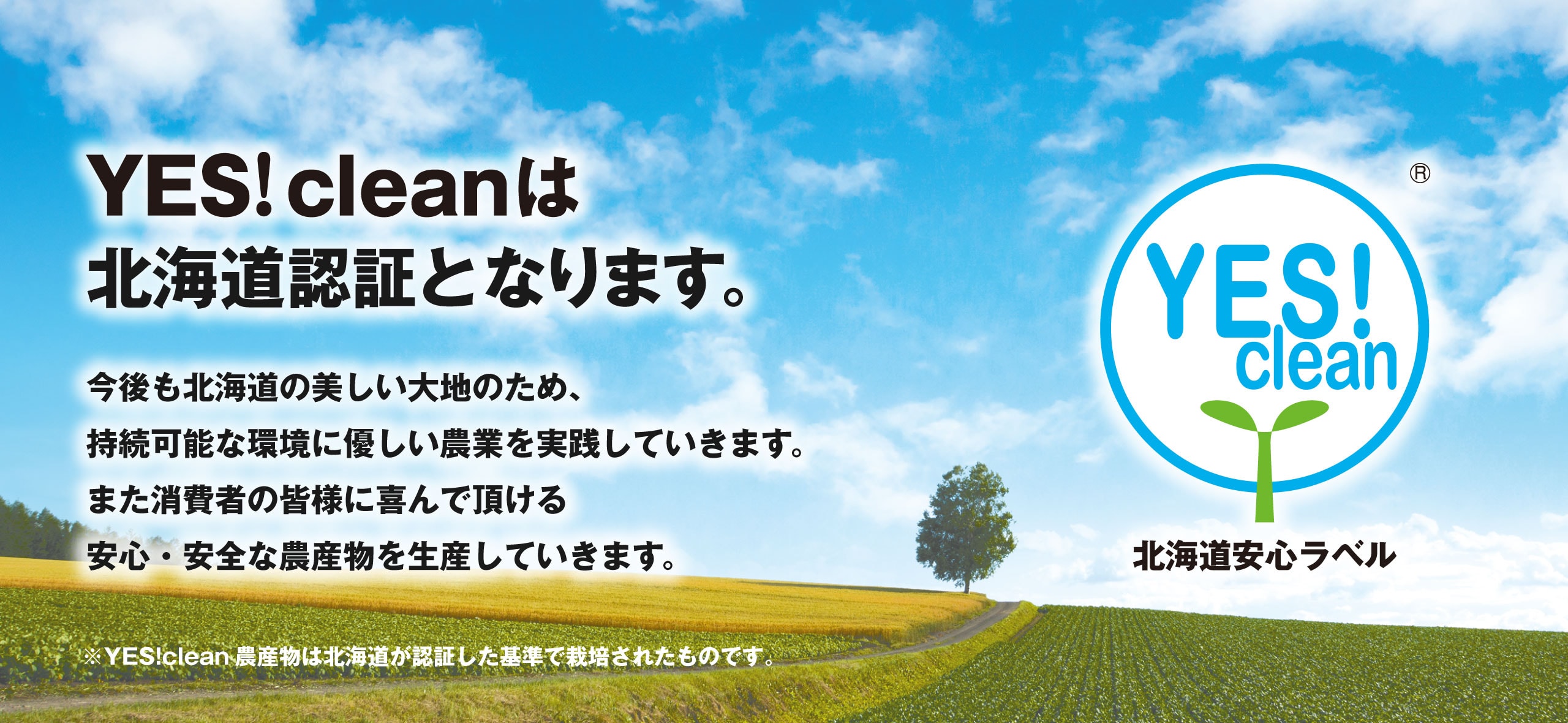 YES!cleanは北海道認証となります。今後も北海道の美しい大地のため、持続可能な環境に優しい農業を実践していきます。また消費者の皆様に喜んで頂ける安心・安全な農産物を生産していきます。