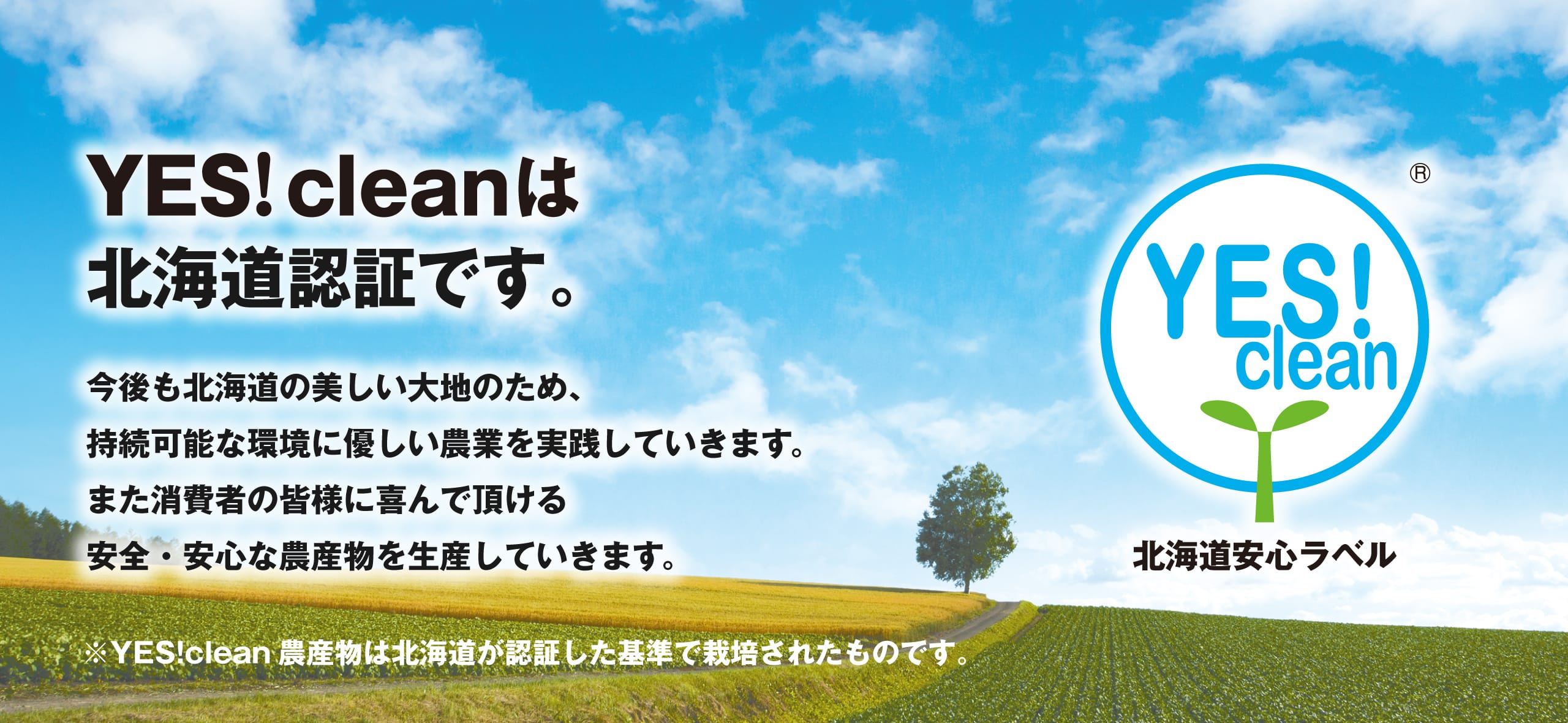 YES!cleanは北海道認証となります。今後も北海道の美しい大地のため、持続可能な環境に優しい農業を実践していきます。また消費者の皆様に喜んで頂ける安心・安全な農産物を生産していきます。