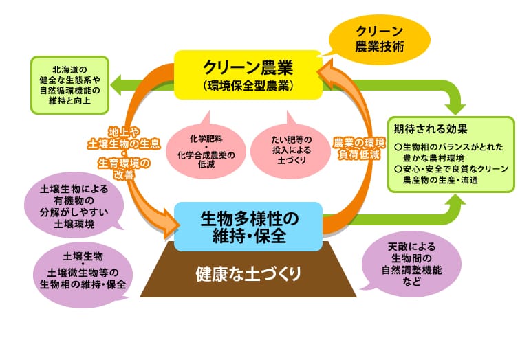 環境とのかかわり解説図